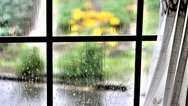 雨の引っ越し