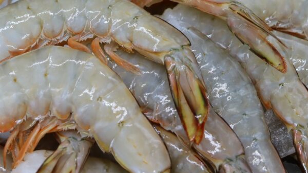父の特殊な食欲
