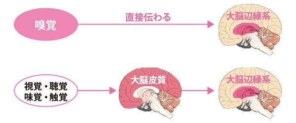 母の味覚