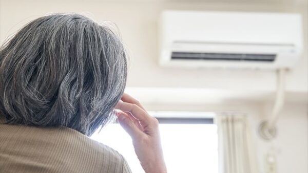 母の年齢