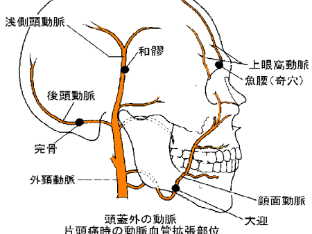 自動車事故（自賠責保険）