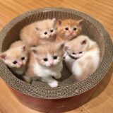 母の施設にいってくれた患者さん